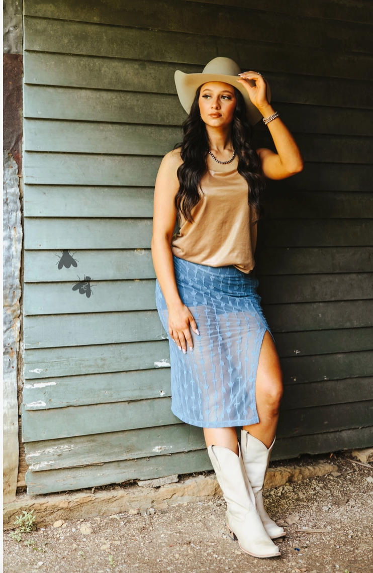 Western Mesh Skirt