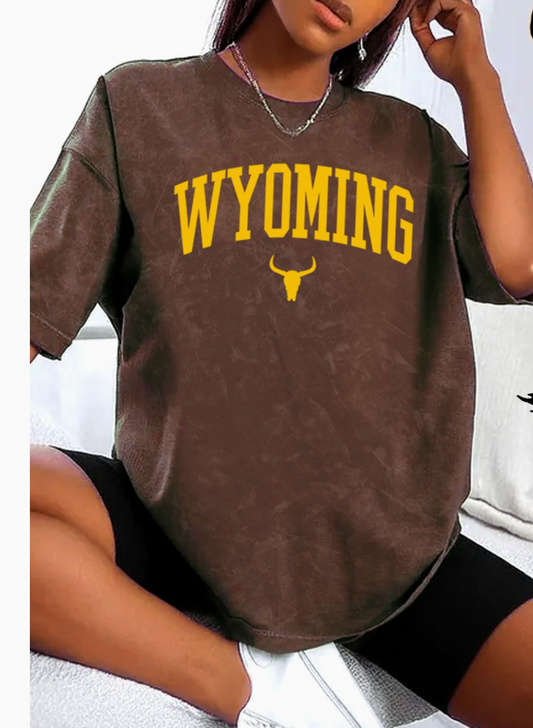 Brown Wyoming Mineral Wash Tee